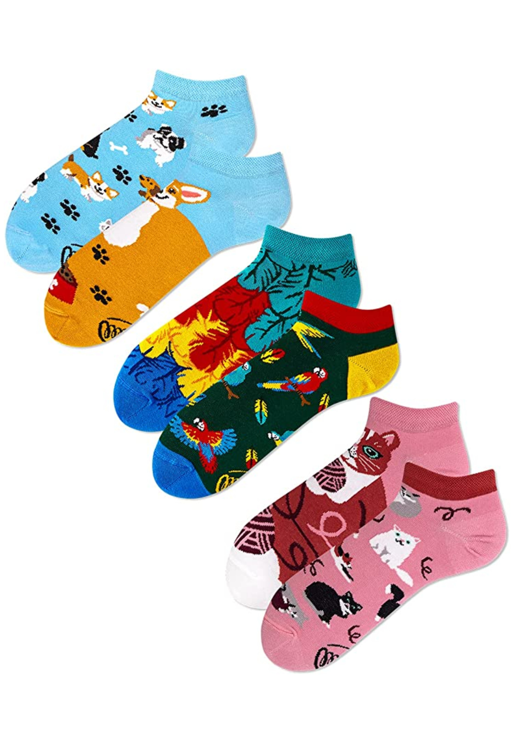 Unisex Low - Playful Dog / Paradise Parriot / Playful Cat - 3 Pack