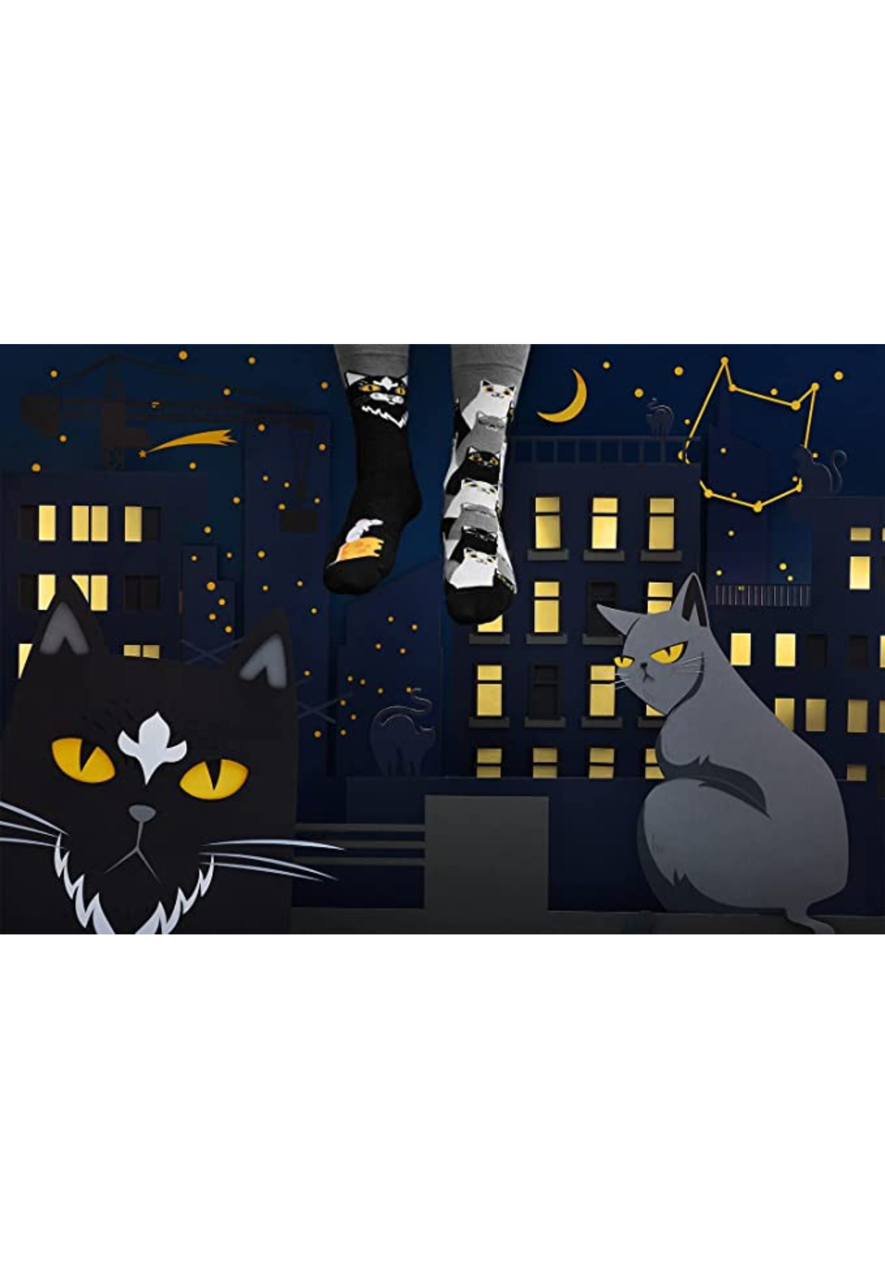 Unisex Regular - Raccon Bandit / Black Cat - 2 Pack