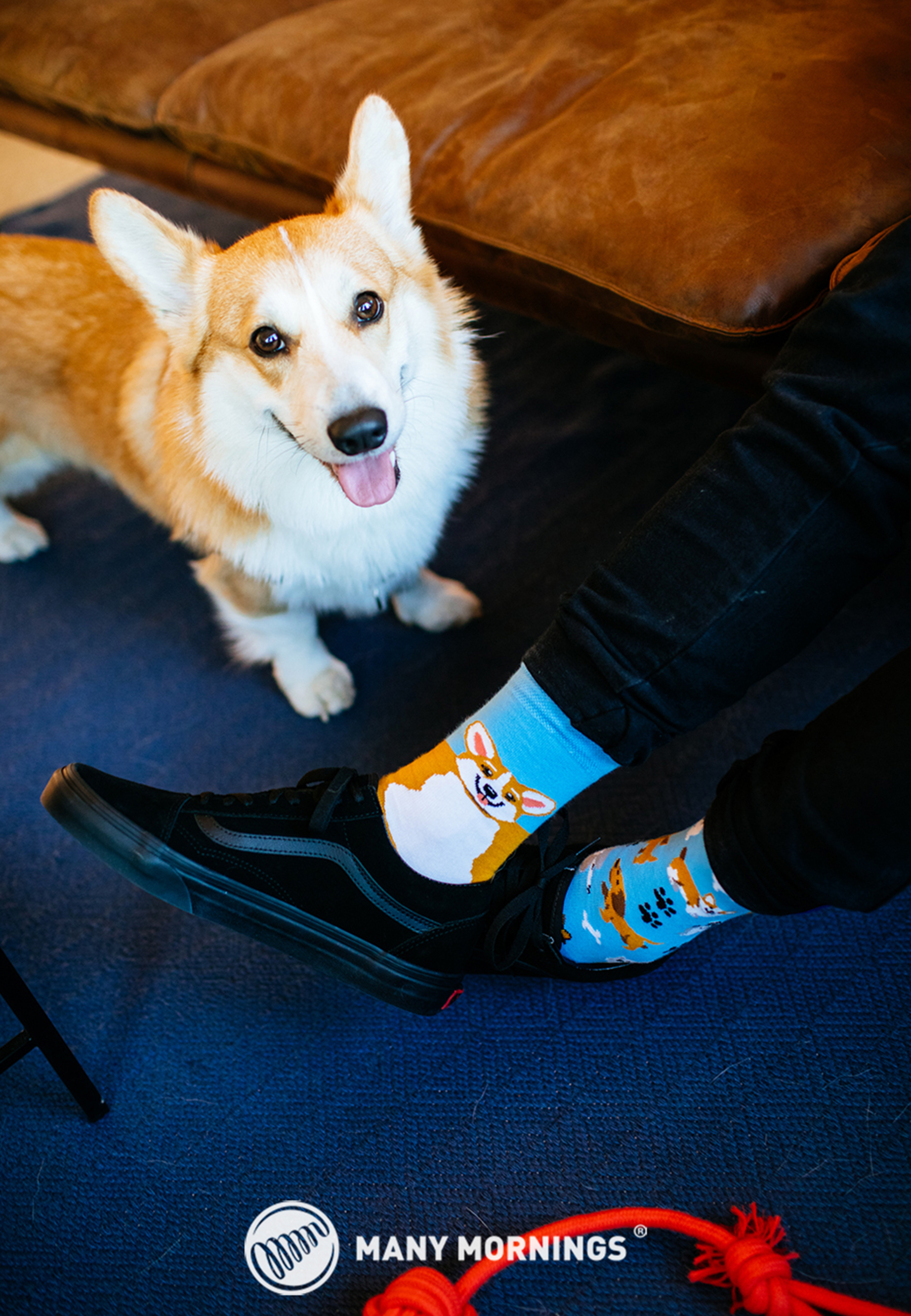 Many Mornings - Animal Set - 3P